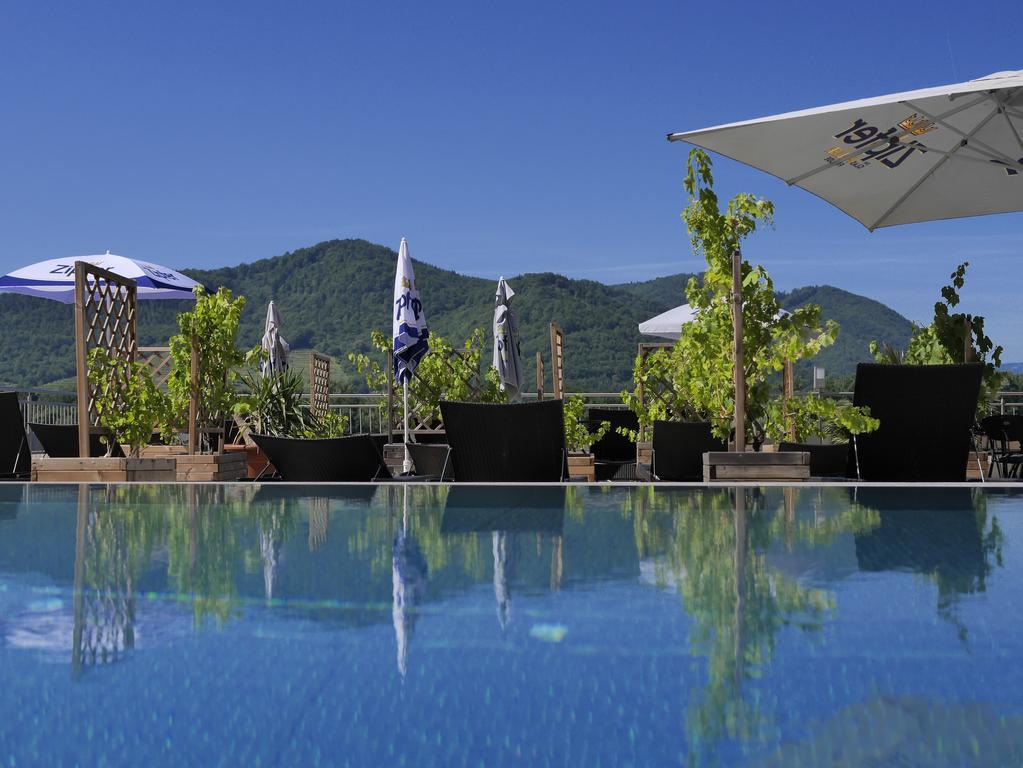 Gartenhotel & Weingut Pfeffel เดิร์นชไตน์ ภายนอก รูปภาพ