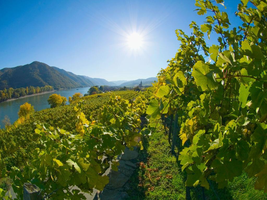 Gartenhotel & Weingut Pfeffel เดิร์นชไตน์ ภายนอก รูปภาพ