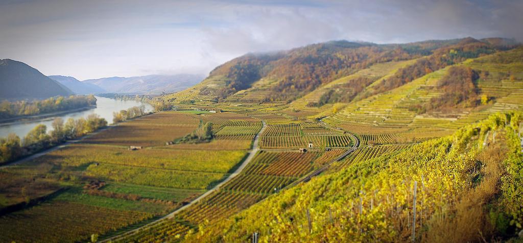 Gartenhotel & Weingut Pfeffel เดิร์นชไตน์ ภายนอก รูปภาพ